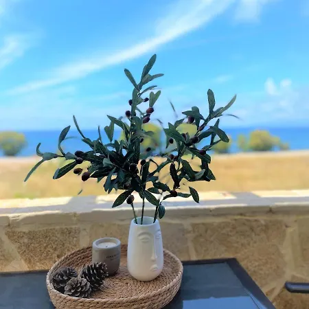 Arkadia Seafront Ai-lagoudis Villa Kyparissia