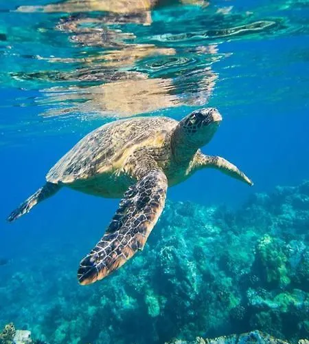 Arkadia Seafront Ai-lagoudis * Kyparissia